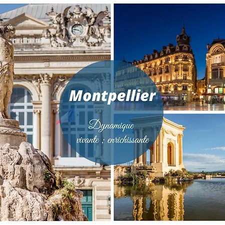 Luxury Mind Vue Exceptionnelle Pied Dans L'eau Parkings Prives 2 Places Climatisation Hyper Centre D'exception Appartement *