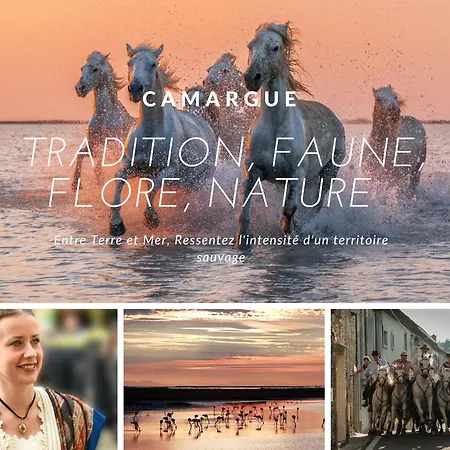 Luxury Mind Vue Exceptionnelle Pied Dans L'eau Parkings Prives 2 Places Climatisation Hyper Centre D'exception アパート ラ・グランド・モット